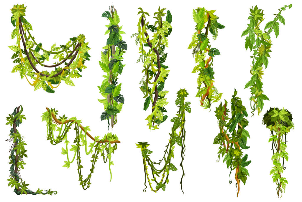 شاخه انیمیشنی لیانا در جنگل گرمسیری