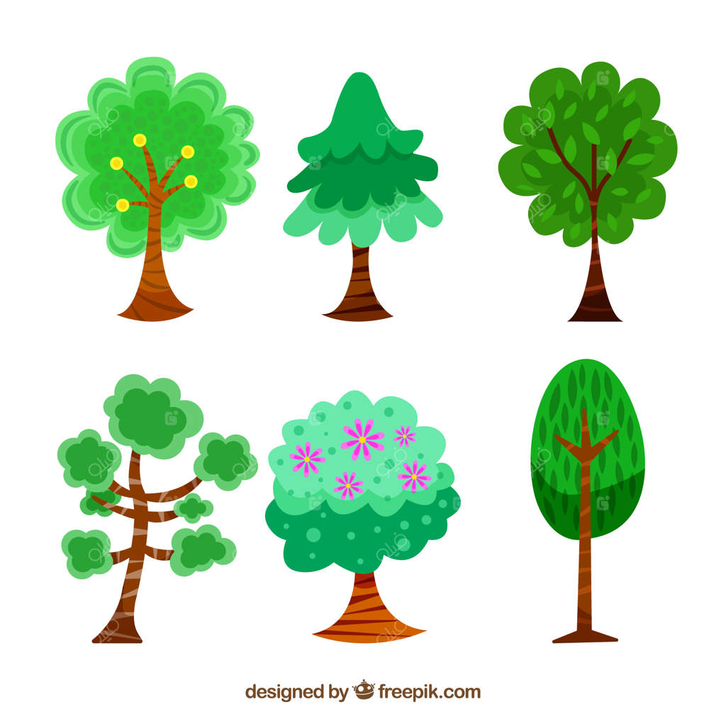 بسته‌ای از شش درخت