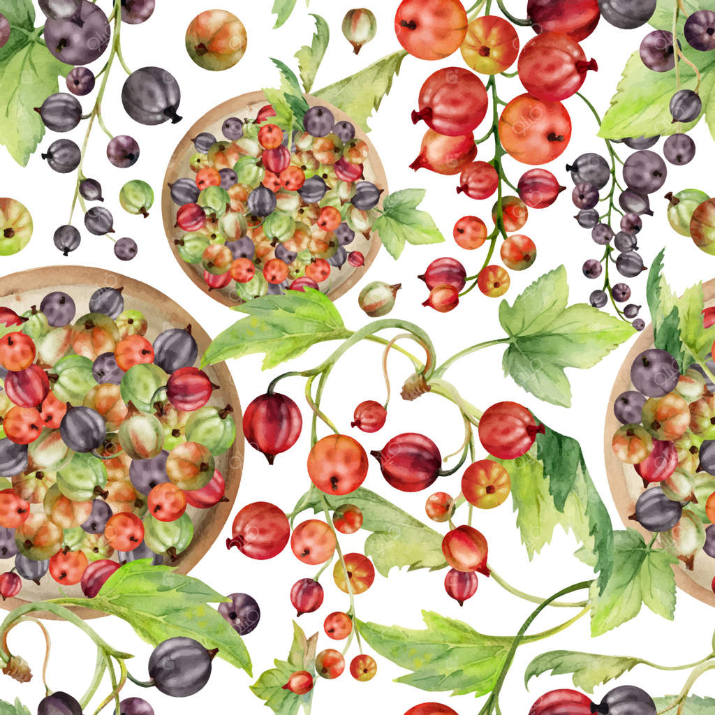 انگور فرنگی وگوسبری در دسته‌ها، برگ‌ها در ظرف سرامیکی، نقاشی با آبرنگ، برداشت توت تازه از باغ، کاسیل ژستبری. پترن یکپارچه. بسته‌بندی غذایی ارگانیک، پارچه پایدار.