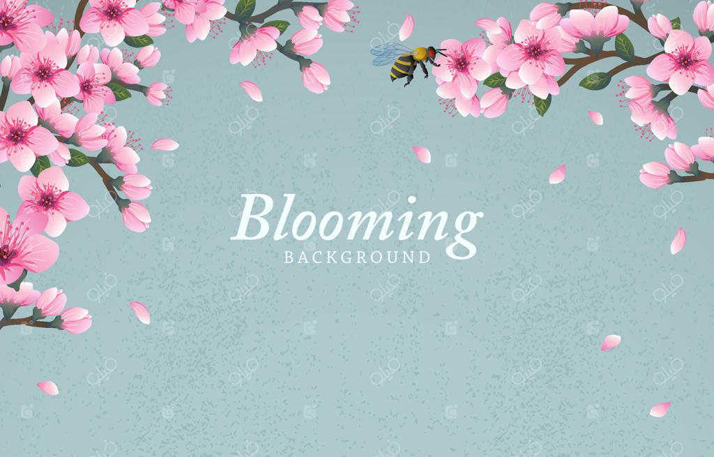 زمینه‌ای شکوفا با گل‌های شکوفه گیلاس