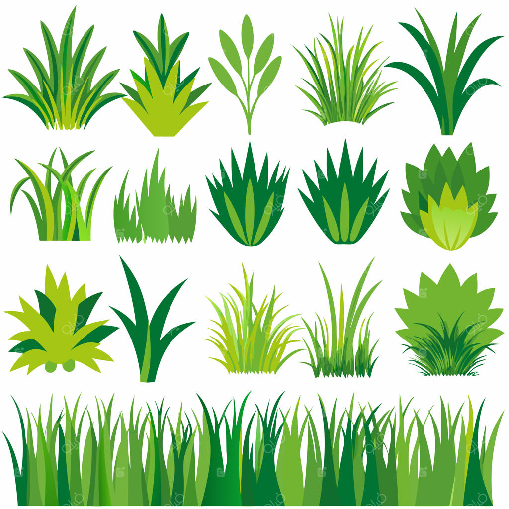 طرح‌های دستی و متنوع چمن