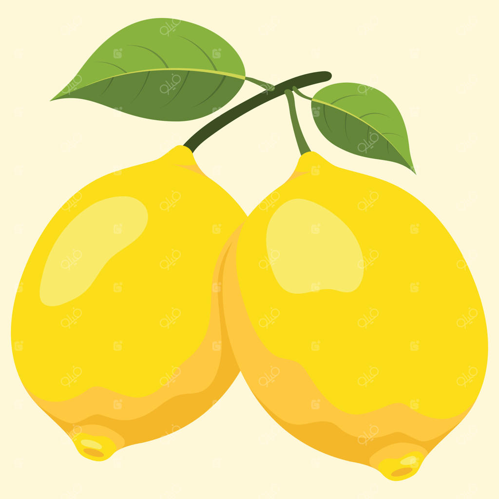 لیموهای زرد شاداب با