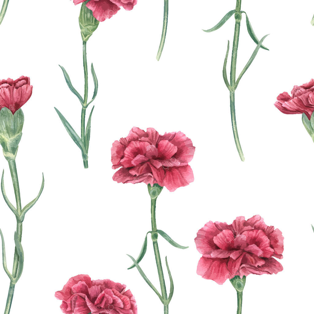 پترن گل میخک صورتی شیک برای دکوراسیون وکتور حرفه‌ای