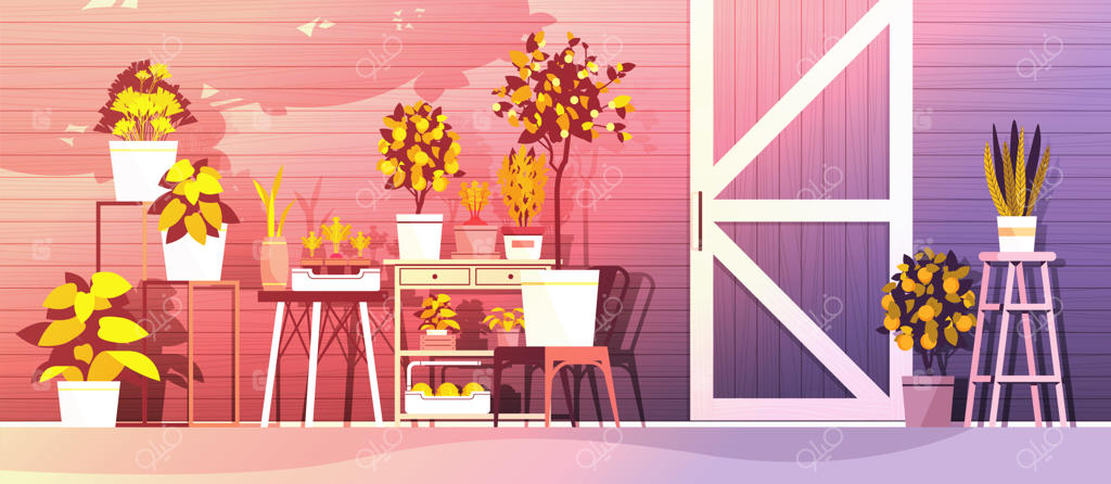 مفهوم باغبانی: گیاهان گلدانی گلخانه‌ای روی قفسه‌ها، به صورت افقی