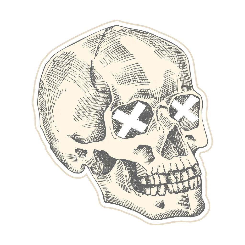 جمجمه انسانی قدیمی با برچسب و صلیب‌های سفید. سبک هنر کلاژ و فرهنگ زین. مفهوم آرایشگاه هیپستر. طراحی تاتو و تی‌شرت با طرح اسکچ دستی واقعی. تصویر جمجمه اسکلت.