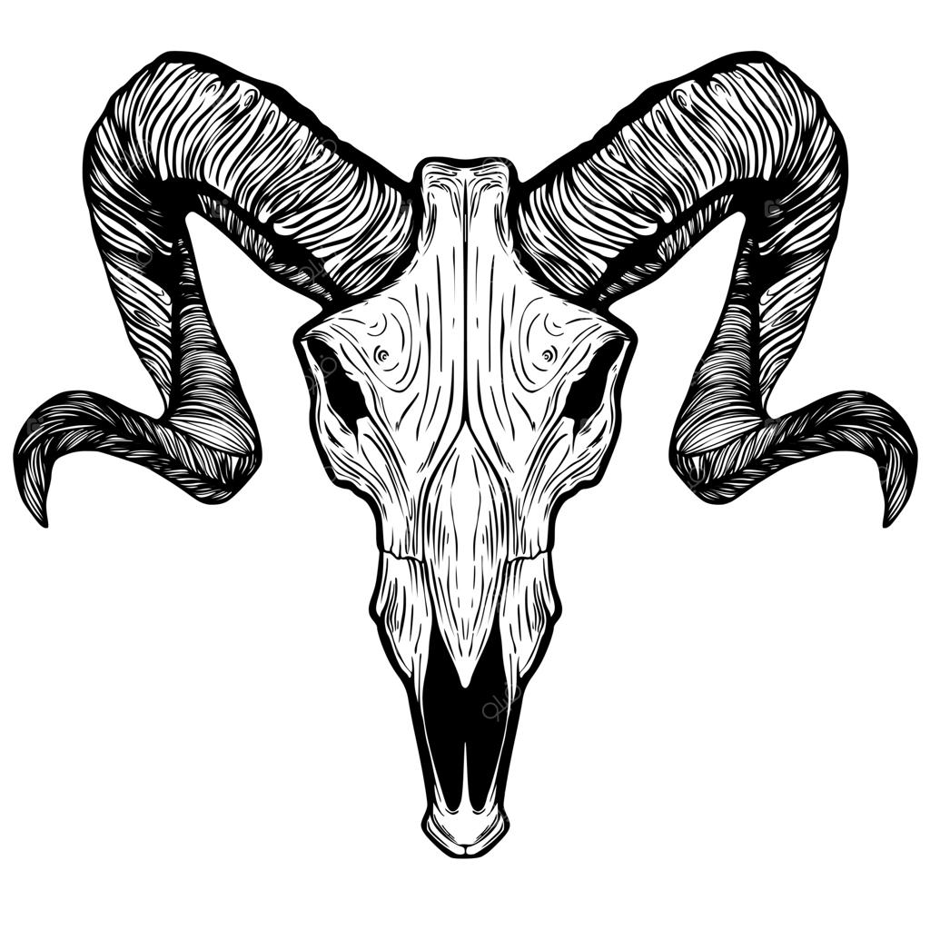 گوسفند، لوگوی هنری جمجمه را نشان می‌دهد