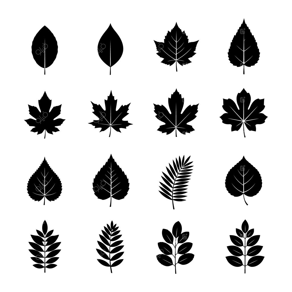 مجموعه متنوع سیلوئت برگ درختان