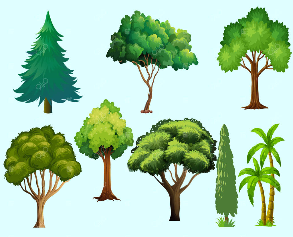 مجموعه‌ای جدید از تصاویر متنوع گیاهان و درختان