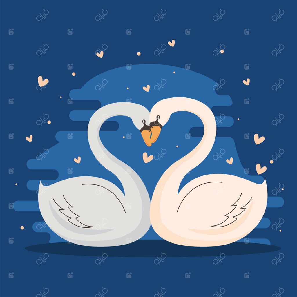 جفت قوهای عاشق