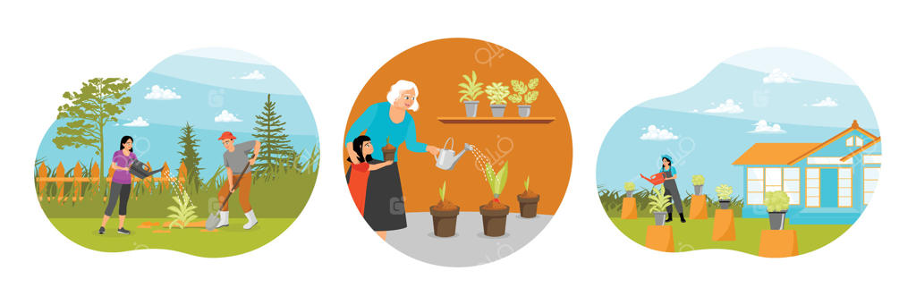 کاشت درخت: آبیاری جوانه‌ها و نگهداری گیاهان آپارتمانی در گلدان.