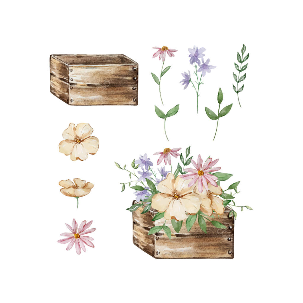 جعبه چوبی آبرنگی با گل‌های باغچه‌ای