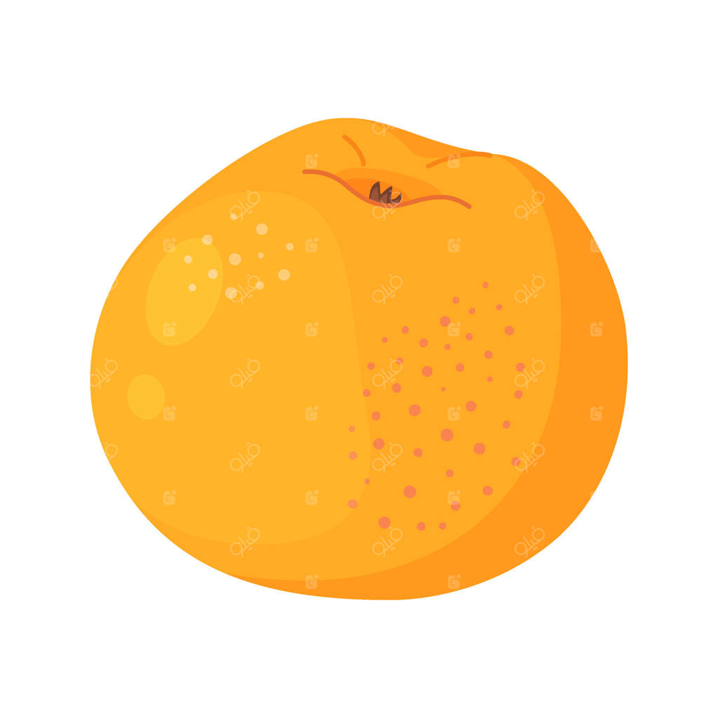 سیب زرد رسیده، میوه تازه باغ. طراحی دستی کلیپ‌آرت. میوه کامل به سبک تخت، جدا شده بر روی پس‌زمینه شفاف.