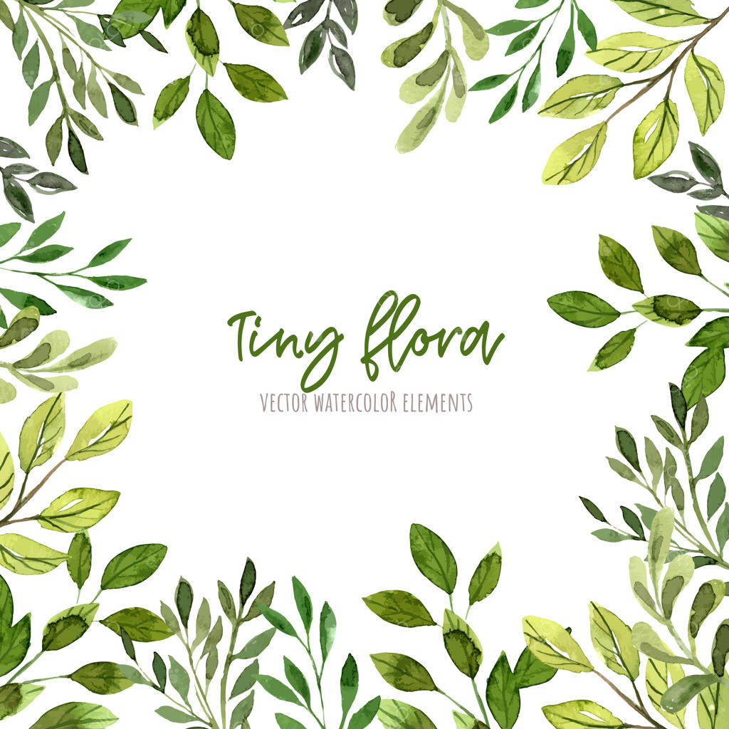 عناصر گل‌های کوچک آبرنگی، قاب، طراحی دستی