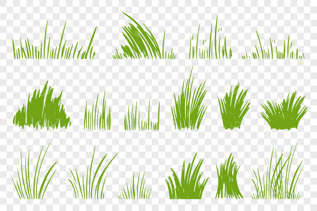 مجموعه تصویرسازی‌های دستی چمن سبز