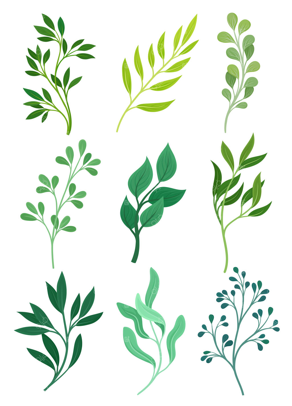 مجموعه‌ای از ساقه‌ها با برگ‌ها.