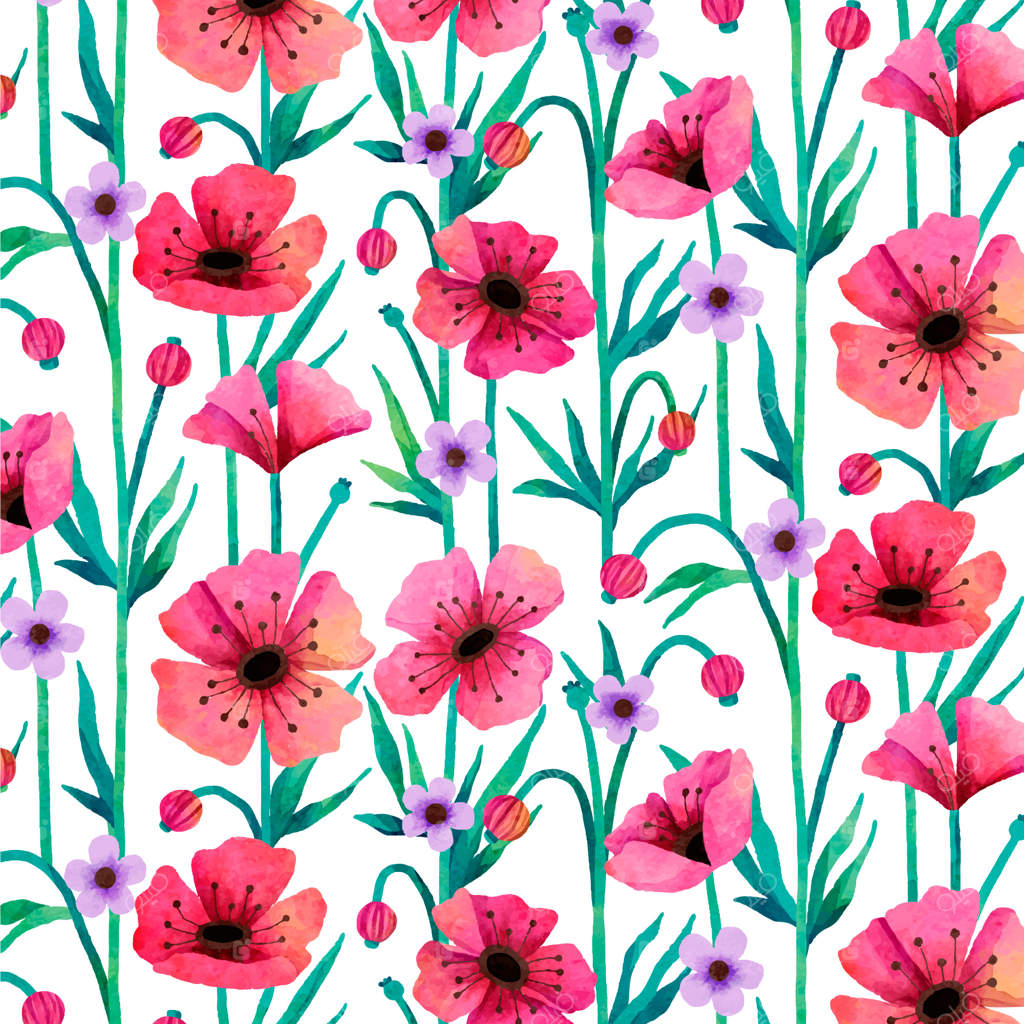 تصویرسازی گل شقایق با آبرنگ