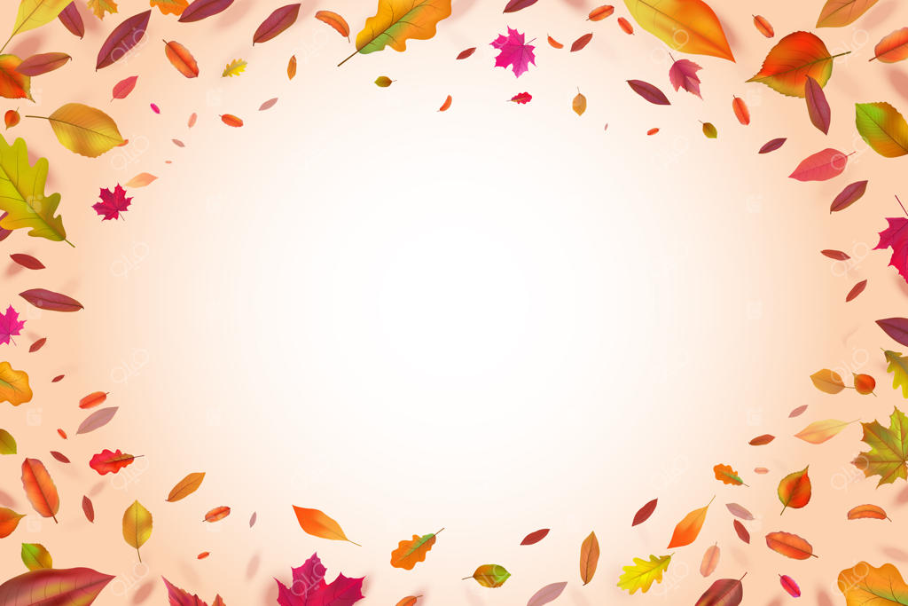 پاییز . برگ‌های زرد سقوط کرده، پس‌زمینه‌ای برای فصل طبیعت