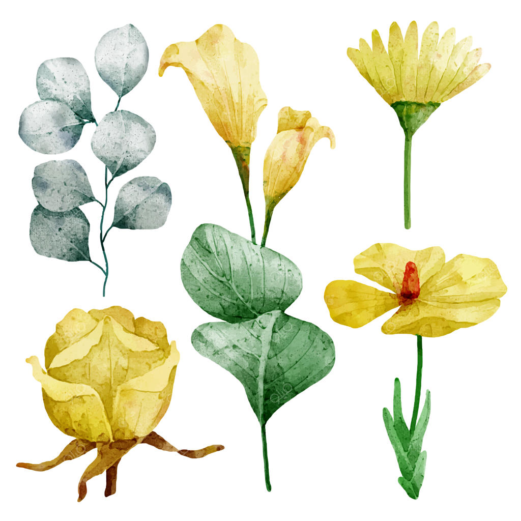 دسته‌گل زیبا و برگ‌ها برای تزیین به سبک رنگ‌های آبرنگی