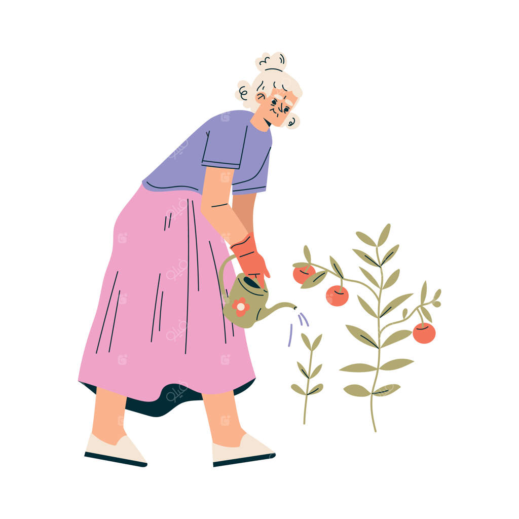 تصویر زنی مسن در حال آبیاری و پرورش گیاهان در باغ