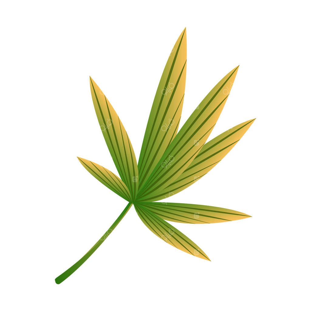 تصویر کارتونی برگ سبز گیاه در باغ گیاه‌شناسی