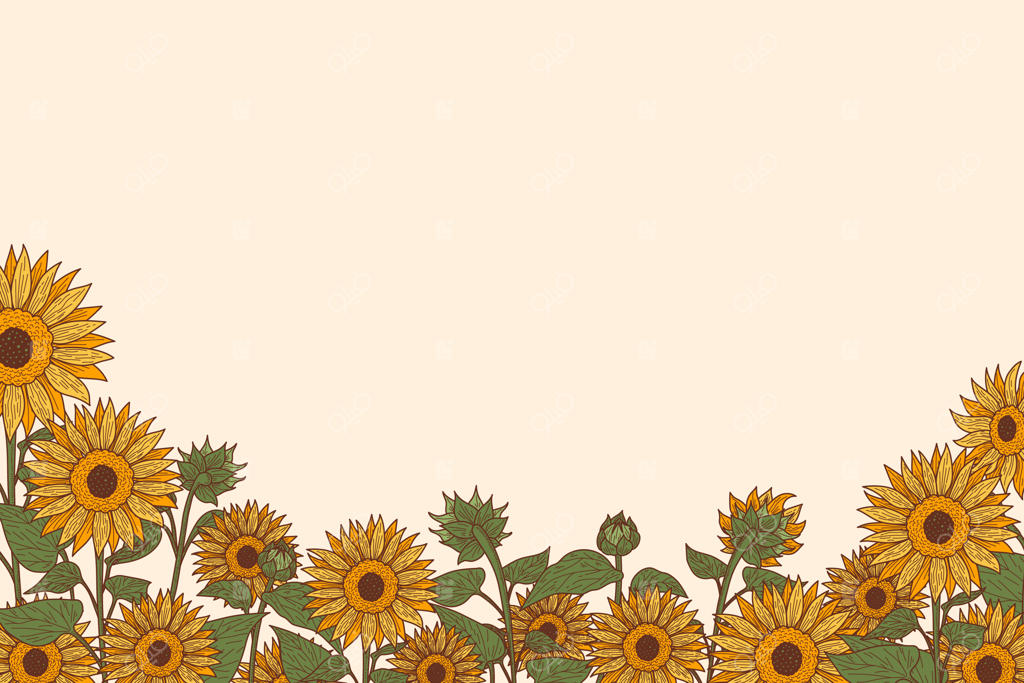 حاشیه آفتابگردان طراحی شده با دست