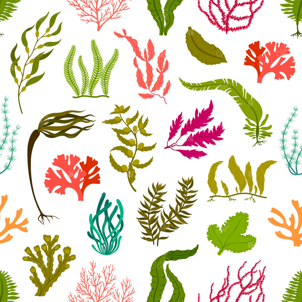 الگوی بدون درز جلبک و گیاهان زیر آب