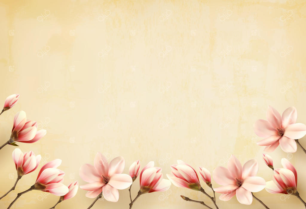 قاب ساخته شده از گل‌های مگنولیا.