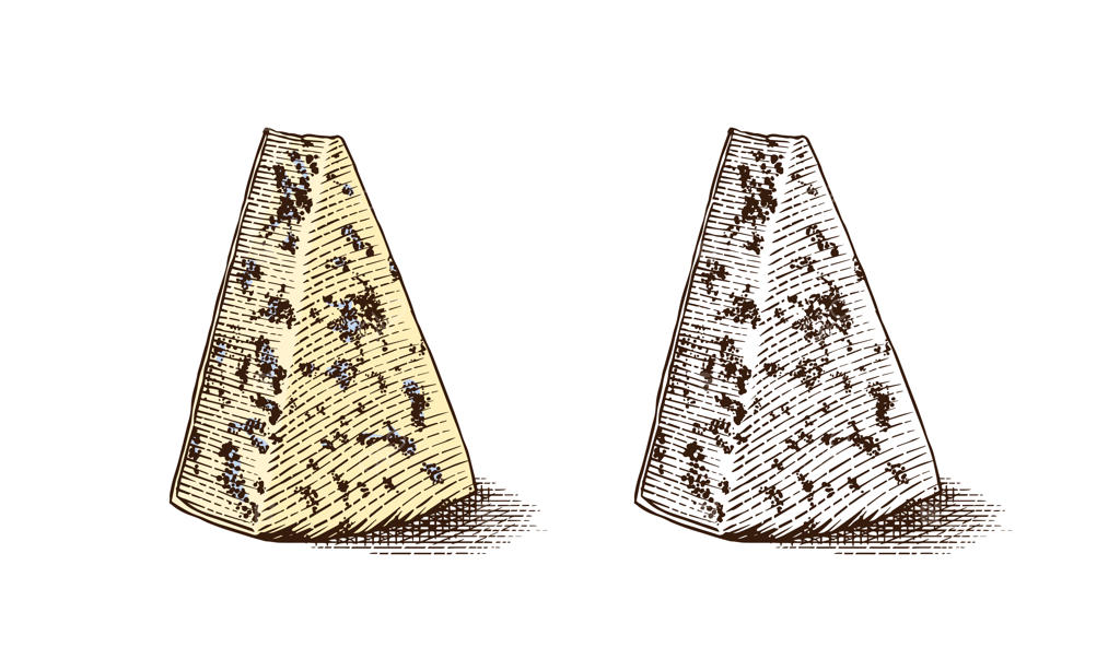 پنیر برای بازار یا فروشگاه مواد غذایی.