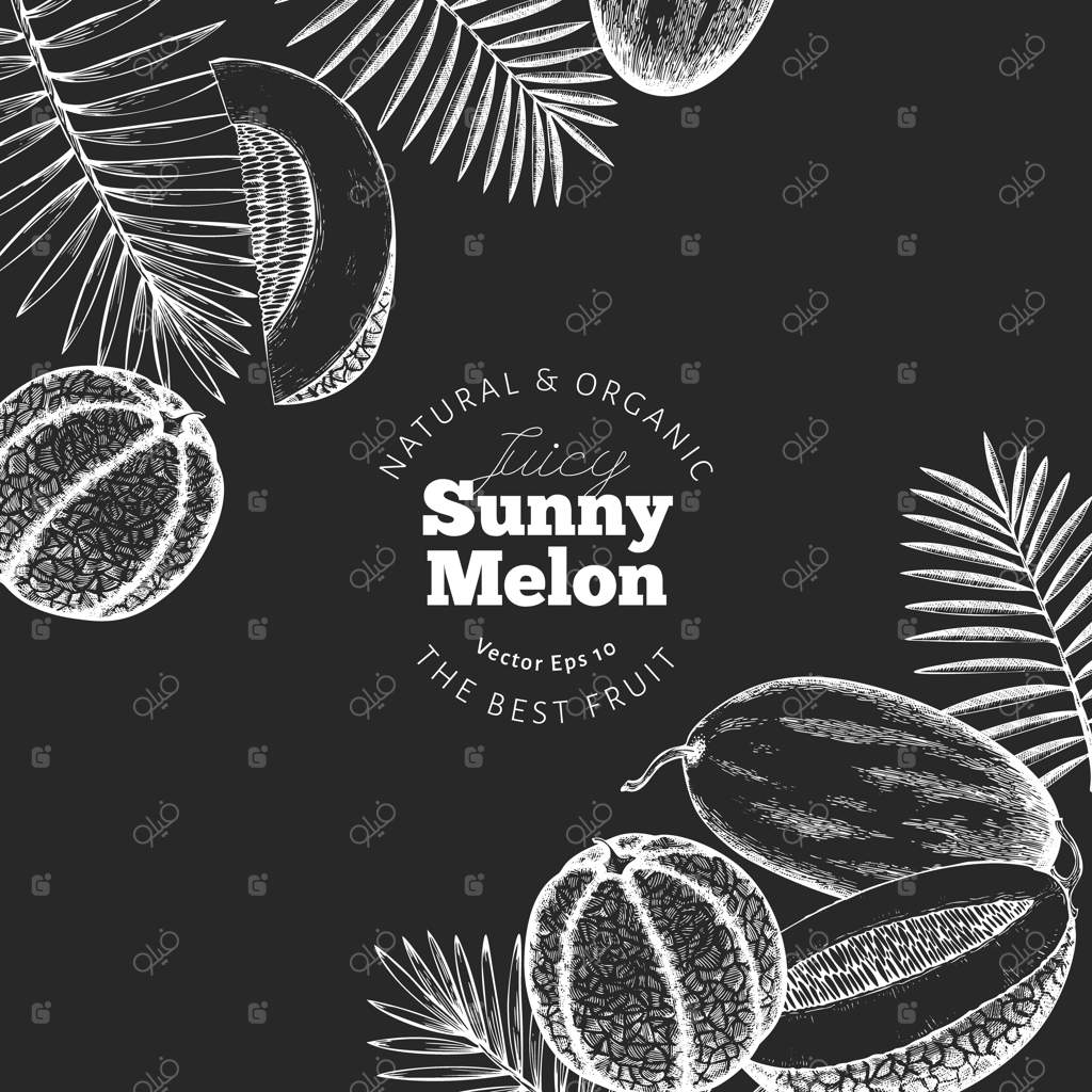 قالب پس‌زمینه با خربزه و هندوانه و برگ‌های گرمسیری