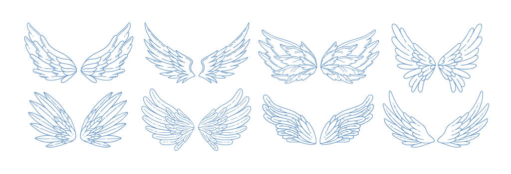 مجموعه‌ای از بال‌های فرشته، پرنده و عشق با خطوط کانتور. عناصر تزئینی رمانتیک برای روز ولنتاین. طرح‌های زیبا در پس‌زمینه سفید.