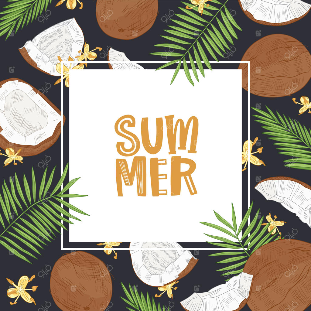 قالب مربعی تابستان با قاب اطرافی از نارگیل، شاخه‌ درخت نخل و گل‌ها.