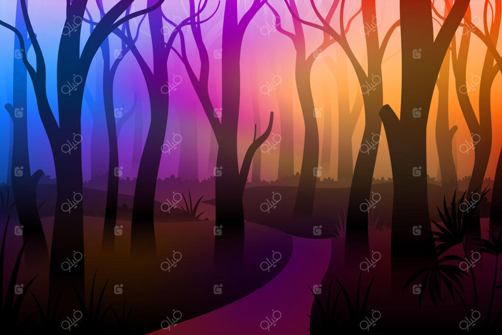 جنگل اسرارآمیز و مه‌آلود با درختان و مسیر پیاده‌روی رنگارنگ