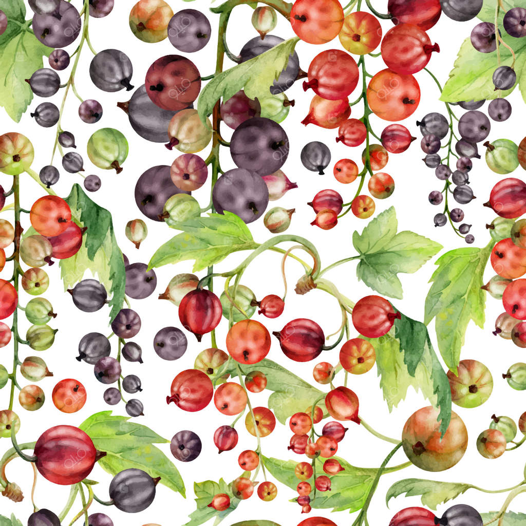 خوشه انگور فرنگی با برگ، توت رسیده جاستابری و جون‌بری، نقاشی آبرنگ. پترن یکپارچه. مناسب برای جلد منوی فصلی، پارچه و کاغذ بسته‌بندی سازگار با محیط زیست.
