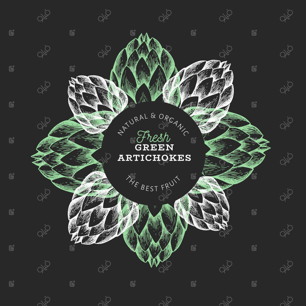 قالب طراحی سبزیجات کنگر فرنگی