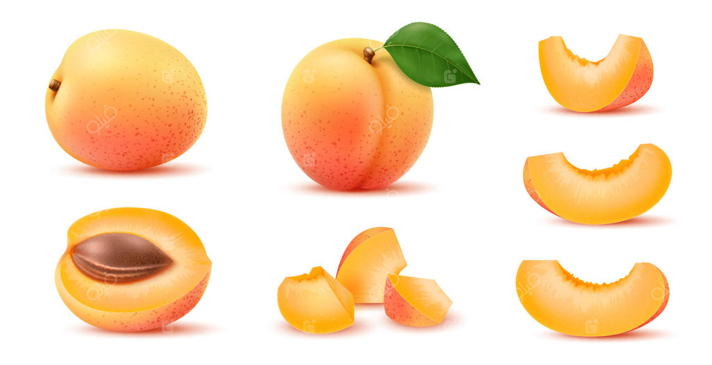 نیمه، کامل و برش زردآلوی رسیده به صورت واقعی