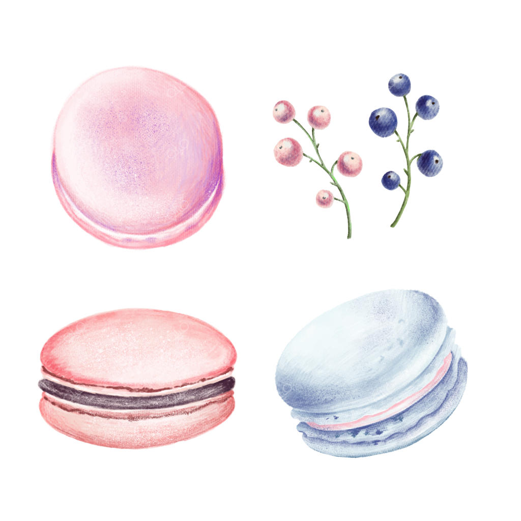 مجموعه‌ای از ماکارون‌ها و توت‌ها