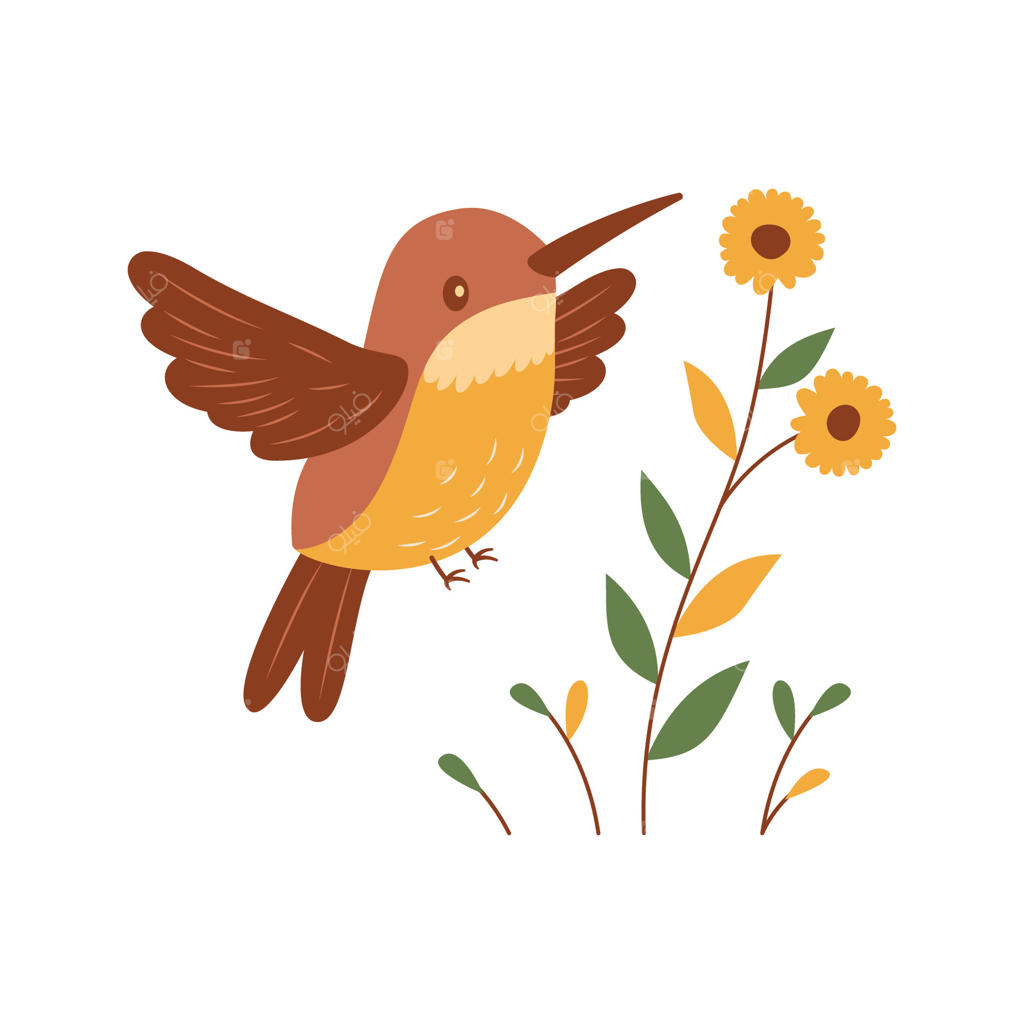 پرنده زیبای کلِبری در حال پرواز با گل در باغ پارک