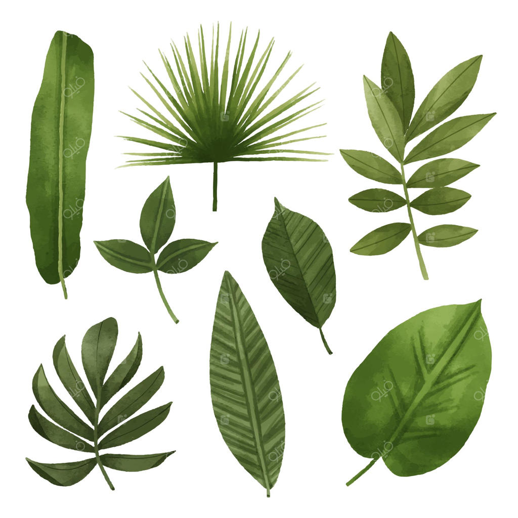 مفهوم جمع‌آوری برگ‌ها