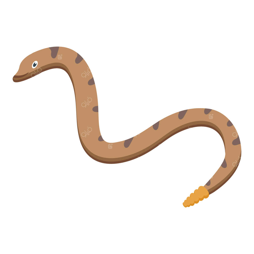 مارماهی باغی با دمی زرد که در آب می‌خزد