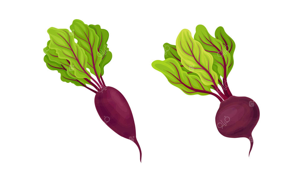 چغندر یا لبو همراه با برگ‌ها