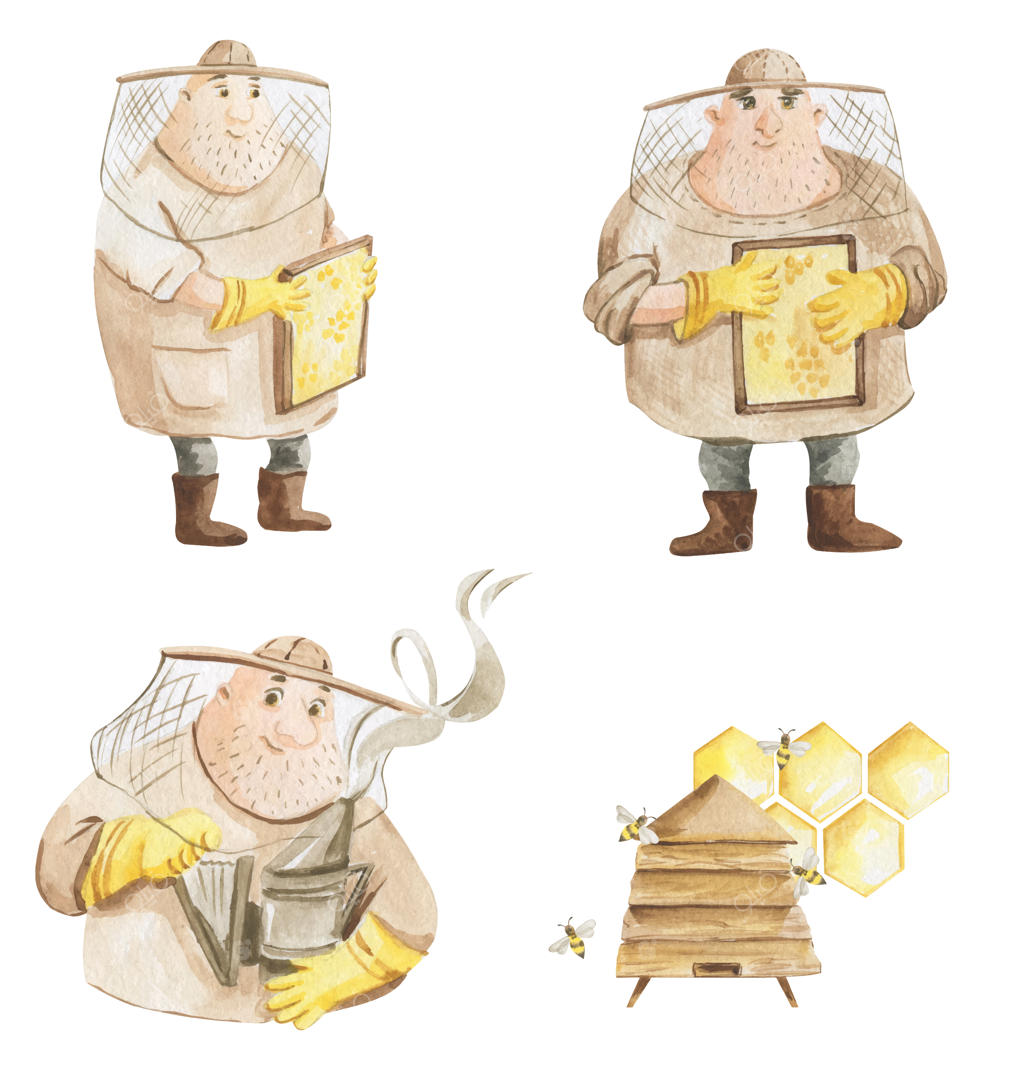 تصویر‌سازی آبرنگی از یک زنبوردار