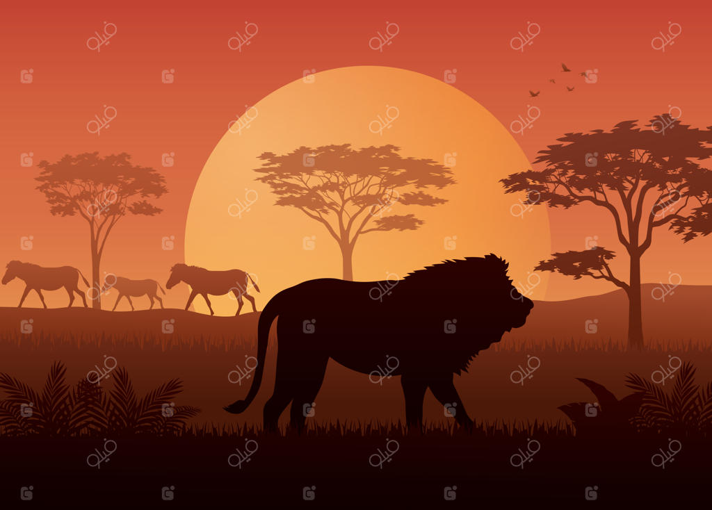 سیلوئت حیوانات در غروب بیابان ساوانا