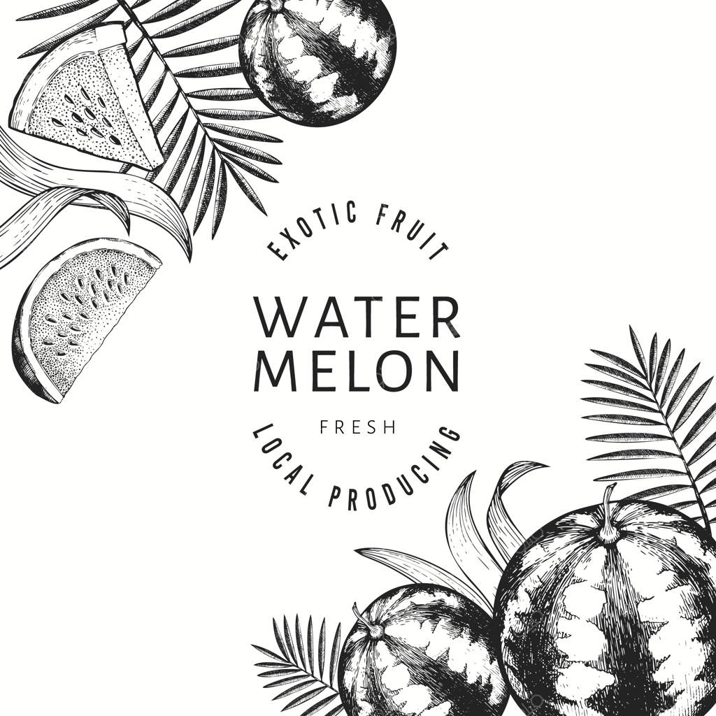 قالب طراحی هندوانه، خربزه و برگ‌های استوایی