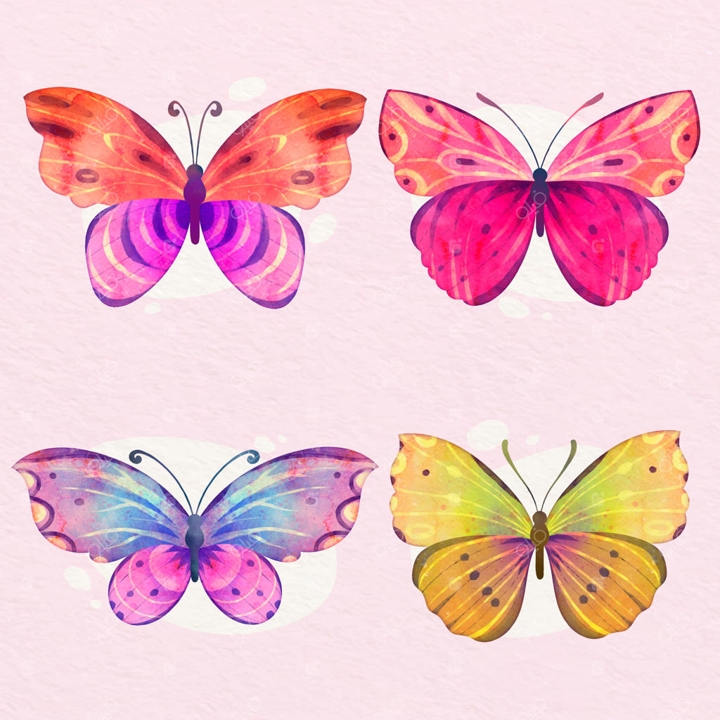 مجموعه پروانه‌های نقاشی دستی