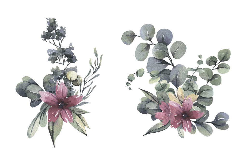 دسته گل آبرنگی با گل‌های قرمز کریسمس.