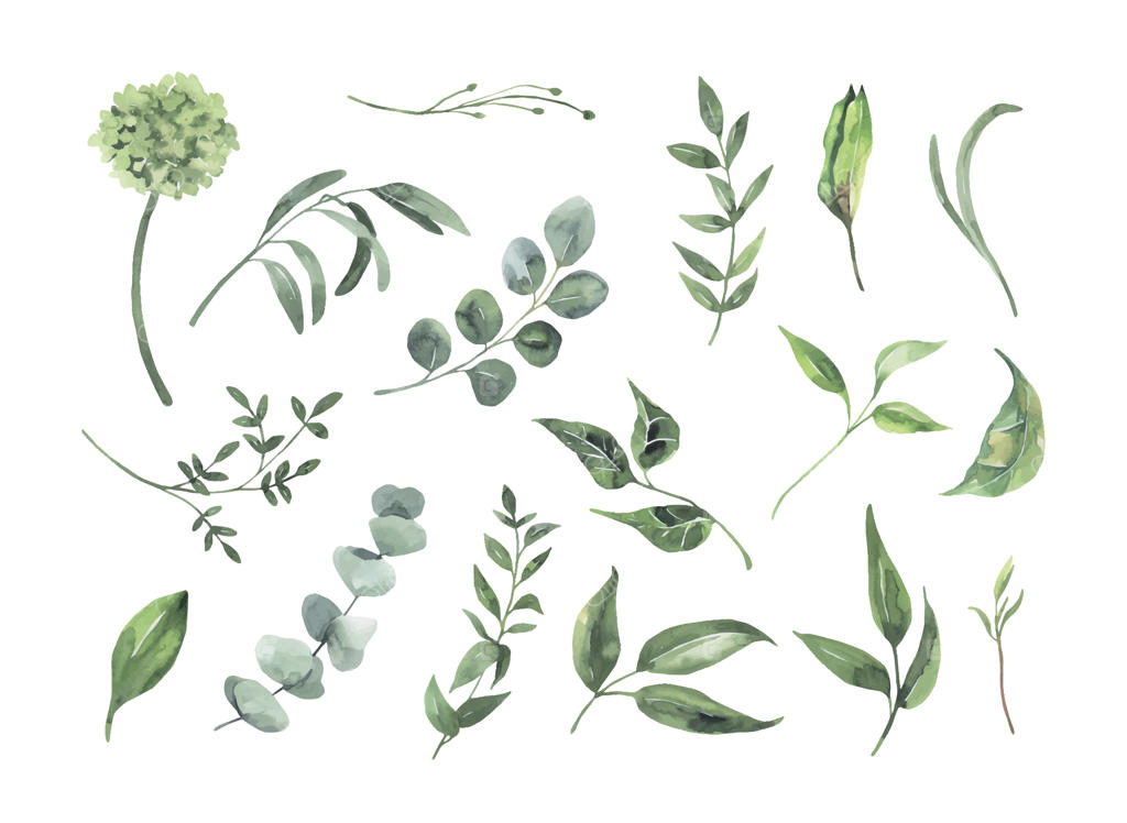 مجموعه برگ‌های سبز آبرنگی