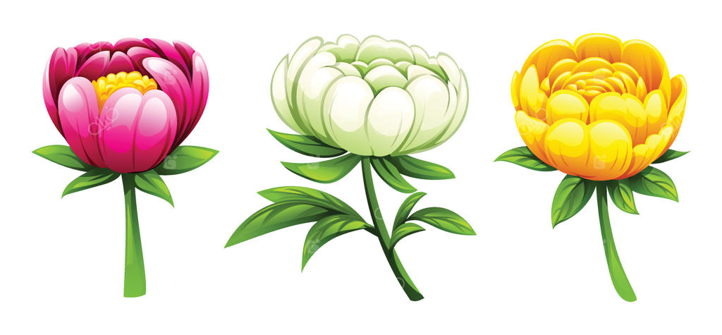 دسته گل‌های صد تومانی با رنگ‌های متنوع - تصویر سیاه‌قلم کارتونی