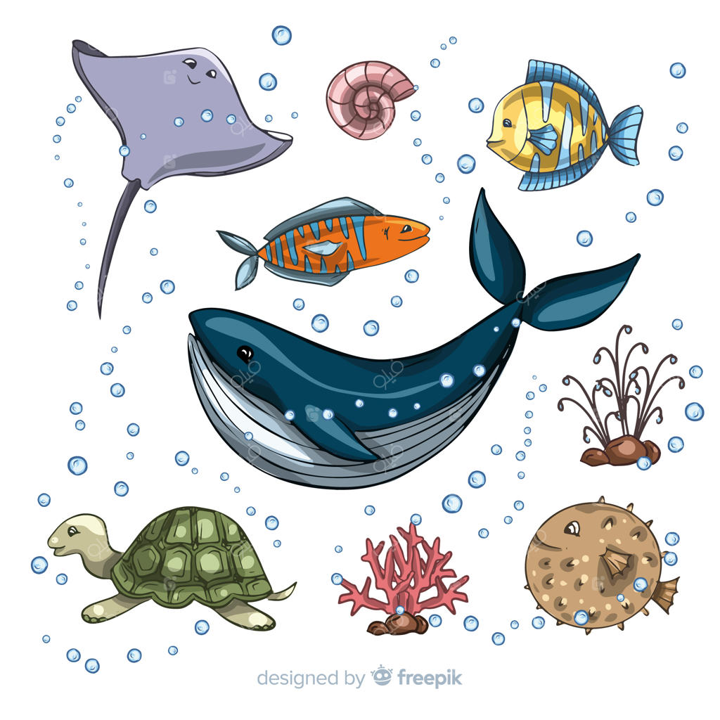 مجموعه طرح‌های دستی حیوانات دریایی