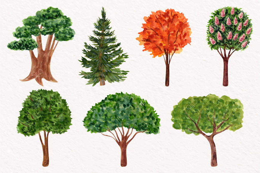 مجموعه درختان با نقاشی دستی