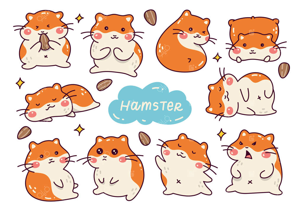 مجموعه طرح‌های کارتونی و بامزه همستر